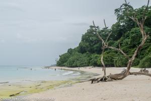 Havelock. El paraíso en las Islas Andaman.