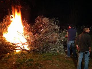 Fiesta de la Vaca de San Pablo de Los Montes