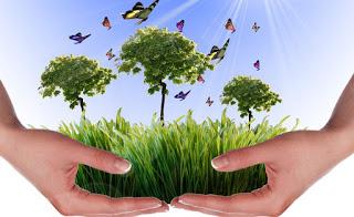 Esto es lo que hemos aprendido sobre medioambiente este año