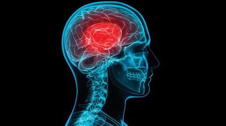 El sedentarismo es perjudicial para el cerebro y el corazón