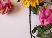 cosas seguiré haciendo 2019