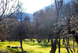 1 de Enero; Invierno o verano?