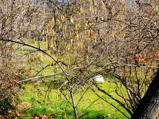 1 de Enero; Invierno o verano?