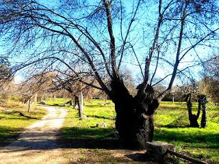 1 de Enero; Invierno o verano?