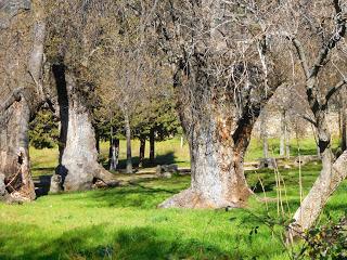 1 de Enero; Invierno o verano?