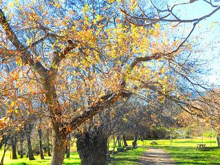 1 de Enero; Invierno o verano?