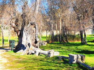 1 de Enero; Invierno o verano?