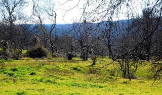 1 de Enero; Invierno o verano?