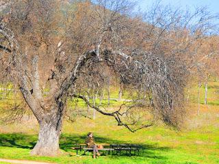 1 de Enero; Invierno o verano?