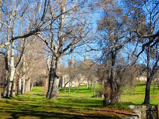 1 de Enero; Invierno o verano?