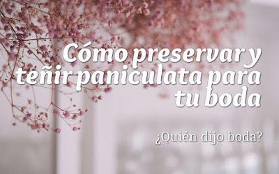 Cómo preservar y teñir paniculata para tu boda