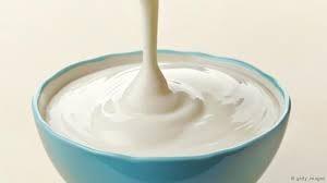 Lactobacilos, Los Héroes De Nuestro Estómago. Lactobacilos, Los Héroes De Nuestro Estómago.