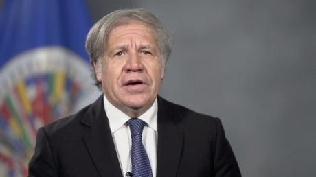 Almagro califica de “jinetera” a la dictadura cubana