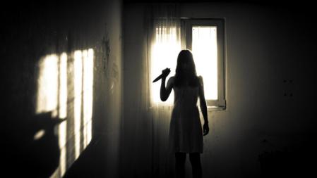 VOX tiene razón. La ley de violencia de género, contraria a la Constitución, debe derogarse