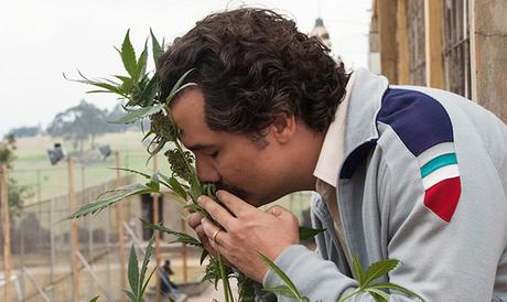 Las 5 Mejores Series En Netflix