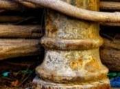 Apego versus desapego