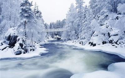 ¿Por qué la nieve es blanca?.