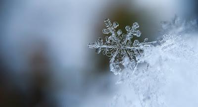 ¿Por qué la nieve es blanca?.