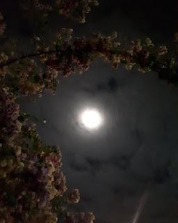 Propuestas utópicas para 2019