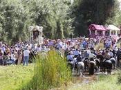 Romeras Damas Romería 2019