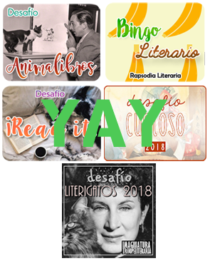 Balance de desafíos 2018: Bendito tiempo libre