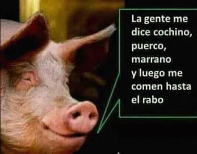 ¡Que vienen los reyes … Y las reinas magas!