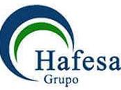 Grupo Hafesa