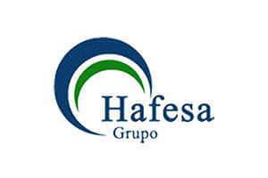 Grupo Hafesa