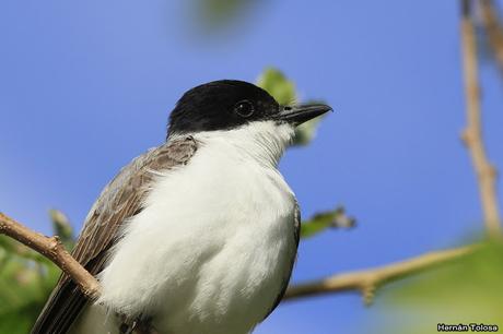 Primera salida del año