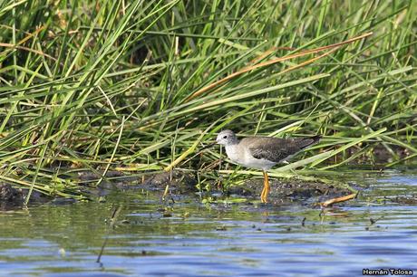 Primera salida del año