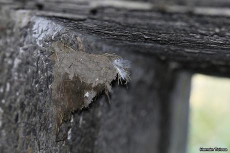 Primera salida del año