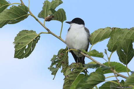 Primera salida del año