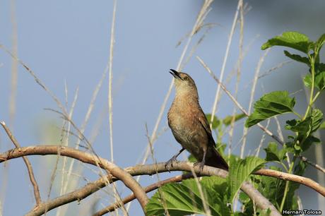Primera salida del año