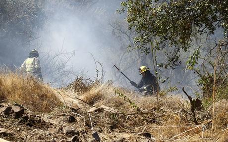 Bomberos denunció a un grupo de jóvenes iniciar un incendio forestal en Curauma