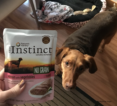 comida_humeda comida_humeda