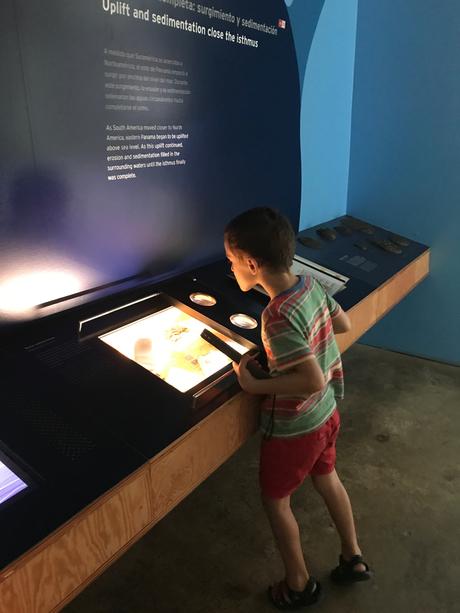Biomuseo en Ciudad de Panamá: una experiencia familiar