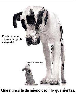 El error de los influencers y los vloggers El error de los influencers y los vloggers