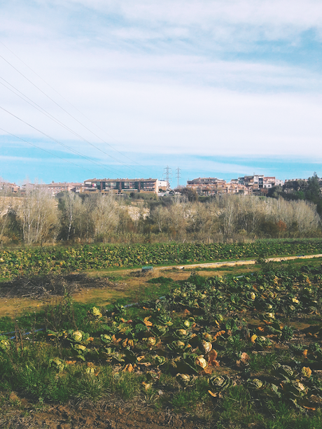 Visita a la fábrica de Caldo Aneto Visita a la fábrica de Caldo Aneto