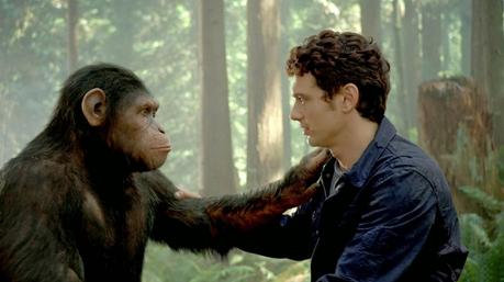 imagen-no-encontrada