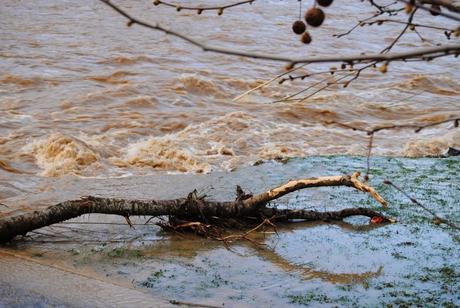 Voy a romper tus sueños Voy a romper tus sueños
