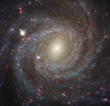 Los colores de la galaxia más bella de Leo menor Los colores de la galaxia más bella de Leo menor