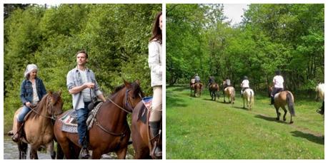 Qué hacer en Madrid