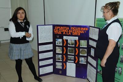 IDEA JOVEN MEXIQUENSE BEBIDA DE TUNA Y NOPAL PARA COMBATIR LA DIABETES