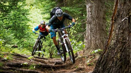Las mejores bicicletas de montaña para el 2019 (I PARTE) Las mejores bicicletas de montaña para el 2019 (I PARTE)