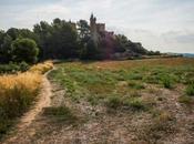 Visita Castell Muga Bosc Comes