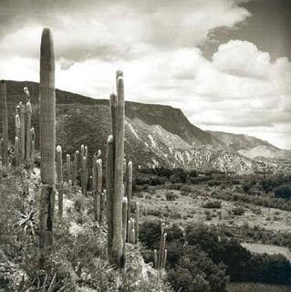 Promesa (Juan Rulfo)