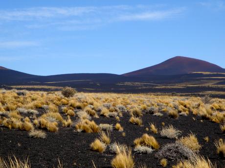 LA PAMPA NEGRA Y LOS VOLCANES DORMIDOS. LA PAYUNIA. MENDOZA