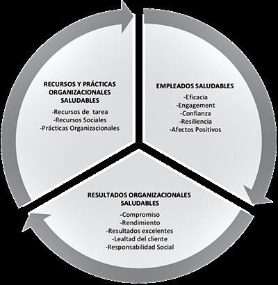 3 modelos de organizaciones saludables y sus efectos en los empleados.