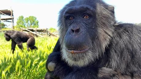 VISITA EN FAMILIA A LA FUNDACIÓN MONA