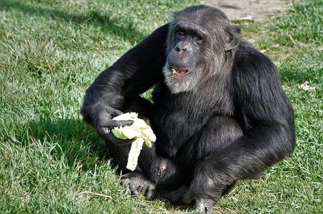 VISITA EN FAMILIA A LA FUNDACIÓN MONA